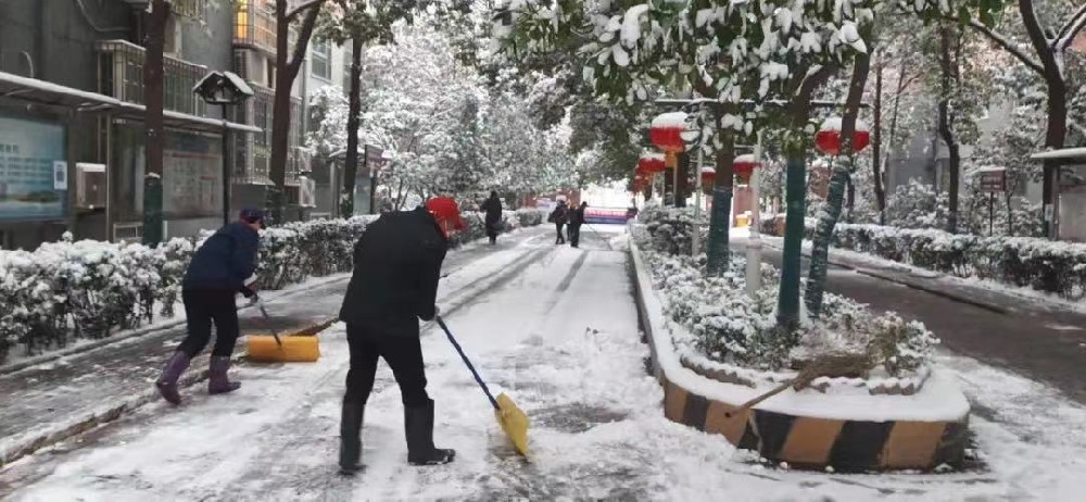 雪落知寒意 行動暖人心｜亞太物業(yè)人清雪進行時