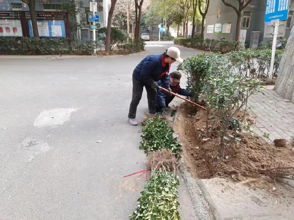 亞太物業(yè) ▏植樹節(jié)?“植”此青綠，不負(fù)春光